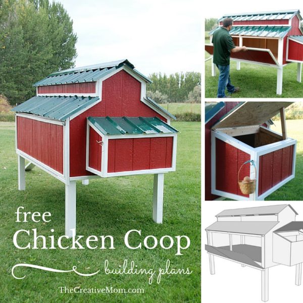 cute chicken coop