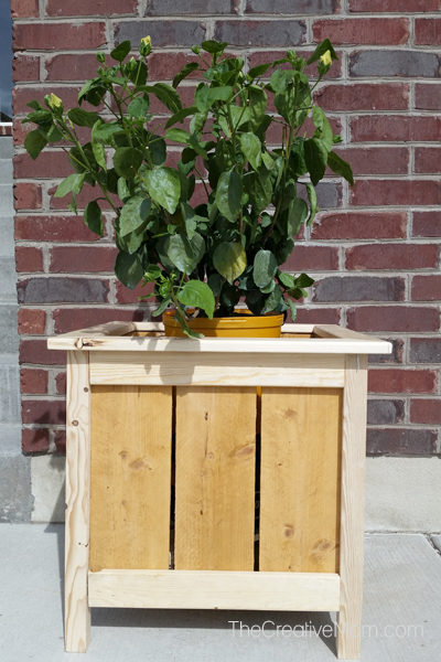 diy planter box outside with plant