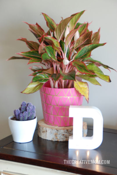 decorated plant pot