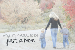 story of how I learned to be proud to be just a mom